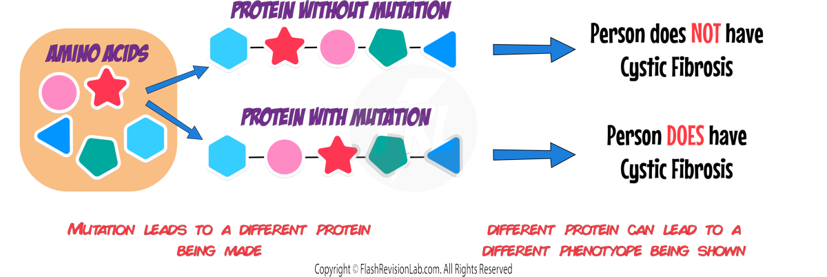 Mutation